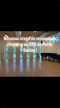 Impossible de lire la video